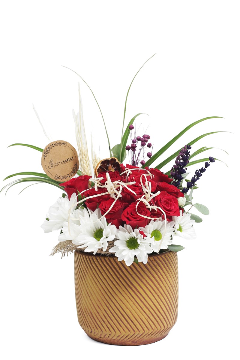 Oriental Red Güller ve Papatyalar