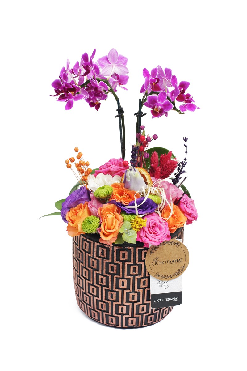Colorful Dream Arrangement - 2