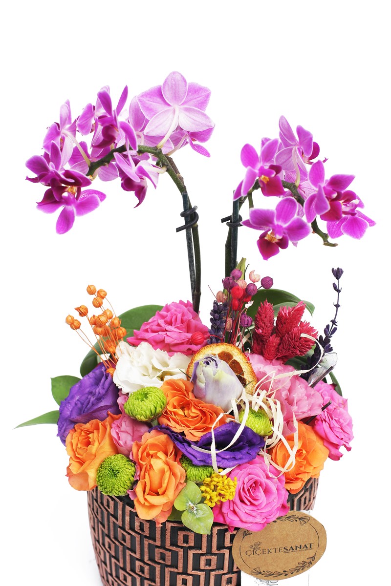 Colorful Dream Arrangement - 3