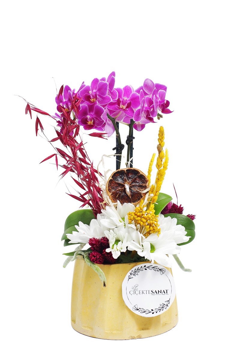 Mixed Dessert Superior Arrangement