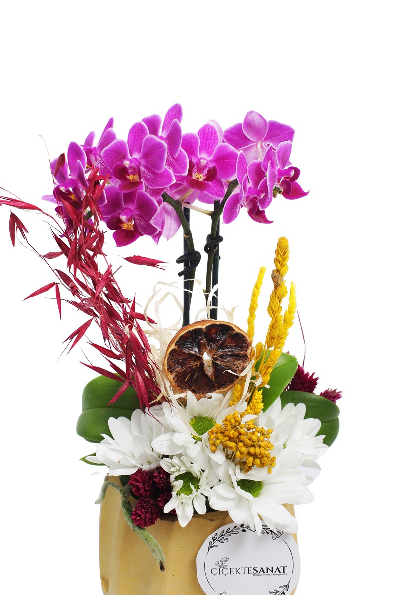 Mixed Dessert Superior Arrangement