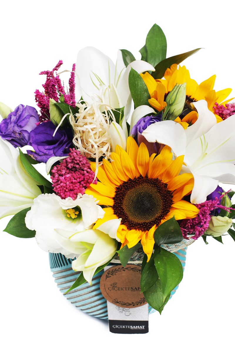 Love Sunflower
