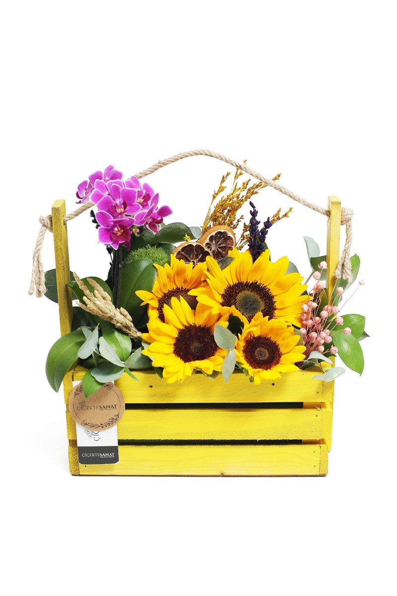 Mini Orchid & Sunflower