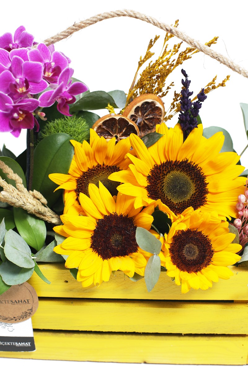 Mini Orchid & Sunflower