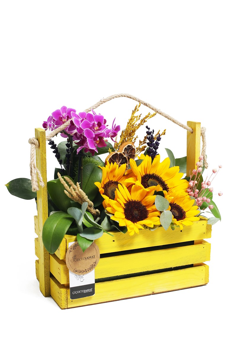 Mini Orchid & Sunflower