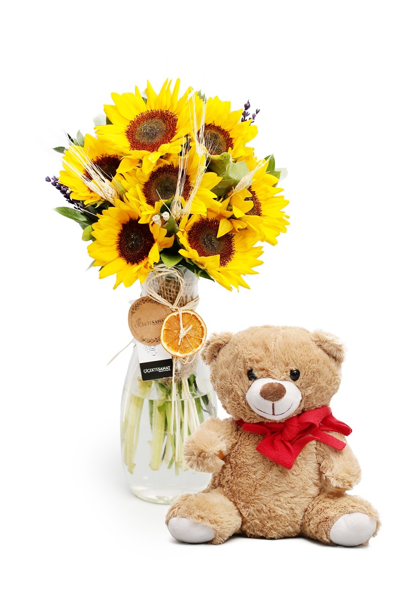 Teddy & SunFlower