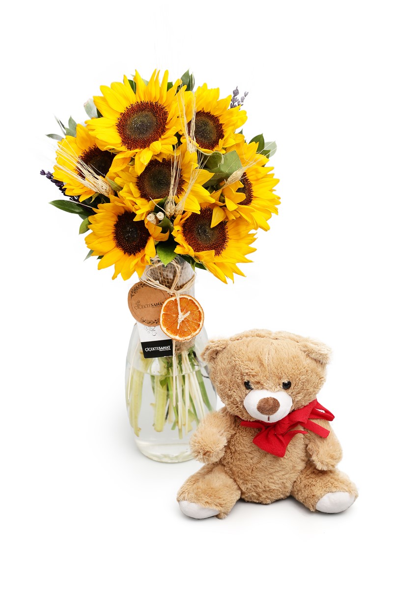 Teddy & SunFlower