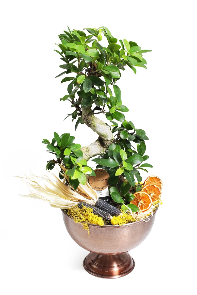 Copper Bonsai - 1