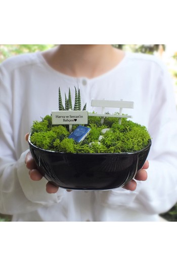 Yıldönümü Hediyesi Teraryum, Minyatür Bahçe, Sukulent Fanus
