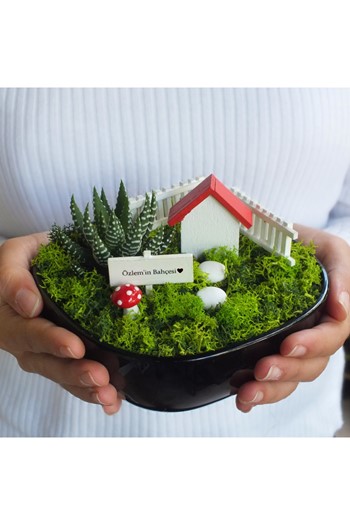 evgililer Günü Hediyesi, Teraryum Sukulent, Minyatür Fanus