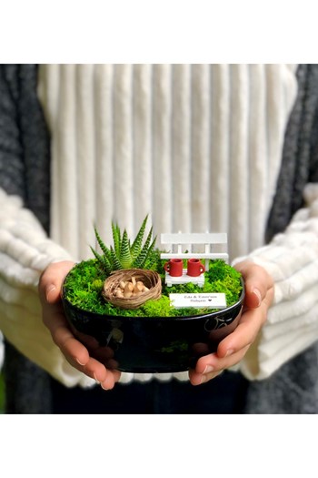 Yıldönümü Hediyesi Teraryum, Minyatür Bahçe, Sukulent Fanus