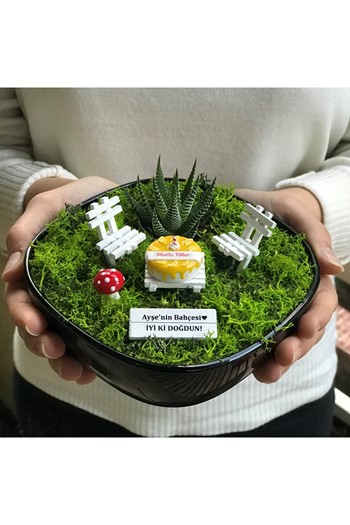 Doktora Hediye Teraryum, Doktora Çiçek, Doktora Teşekkür