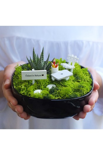 Yeni İş Ofis Teraryum, Yeni İş Minyatür Bahçe