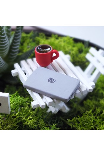 Terfi Hediyesi Minyatür Bahçe, Yeni İş Teraryum, Terfi Çiçek