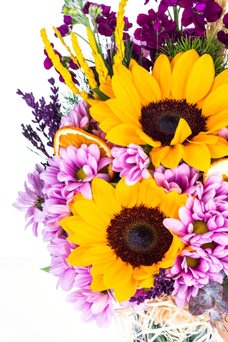 Daisy & Sunflower - 5