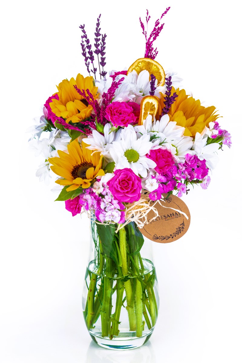 The Most Colorful Flowers