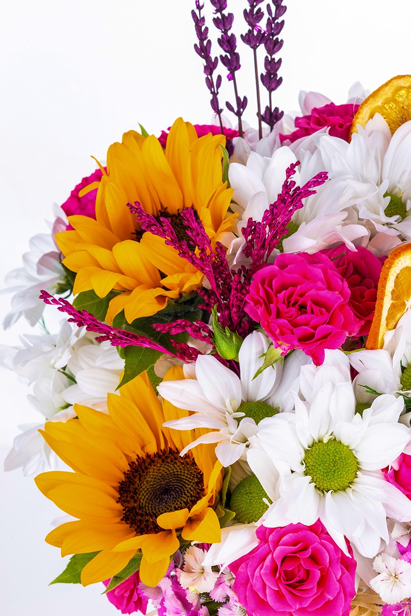 The Most Colorful Flowers