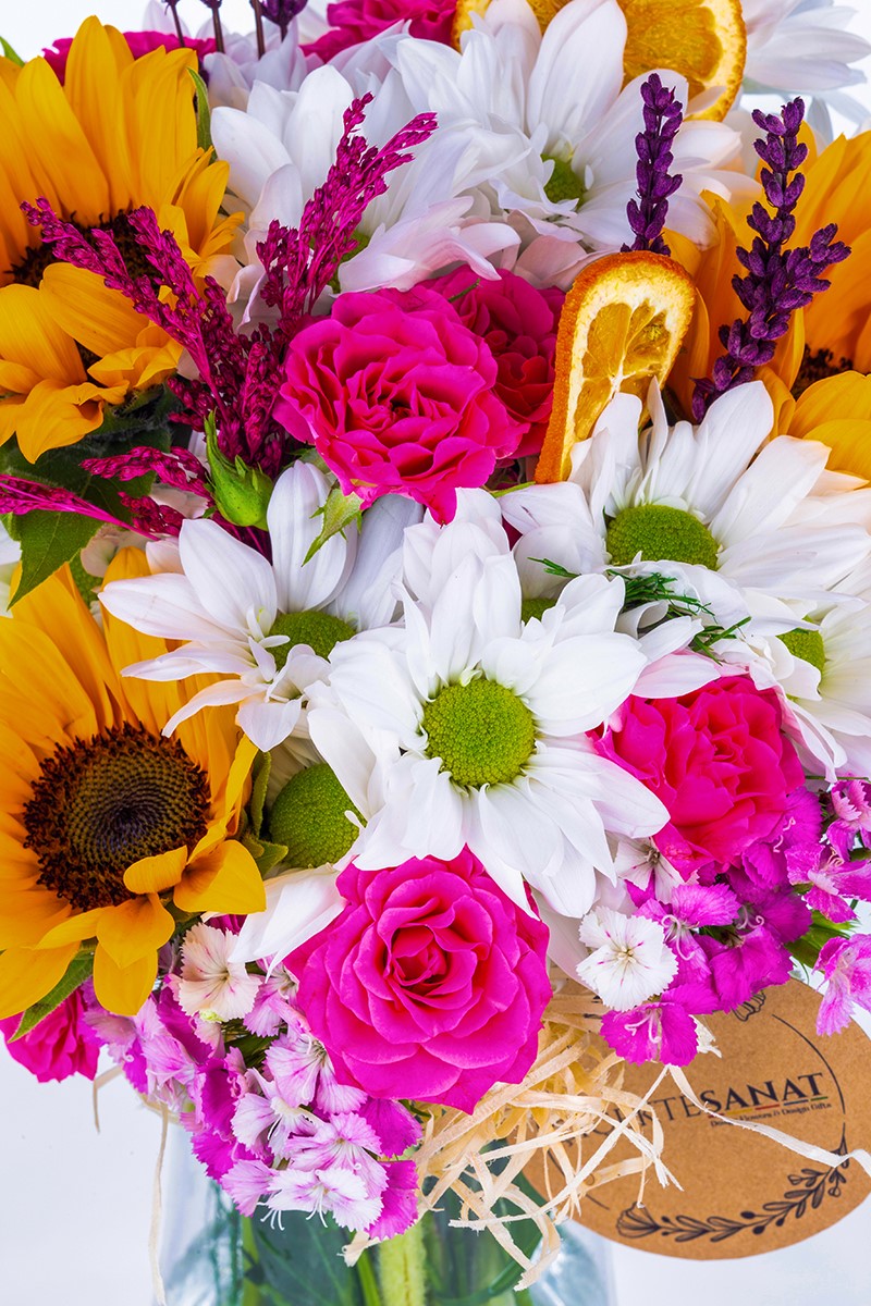 The Most Colorful Flowers