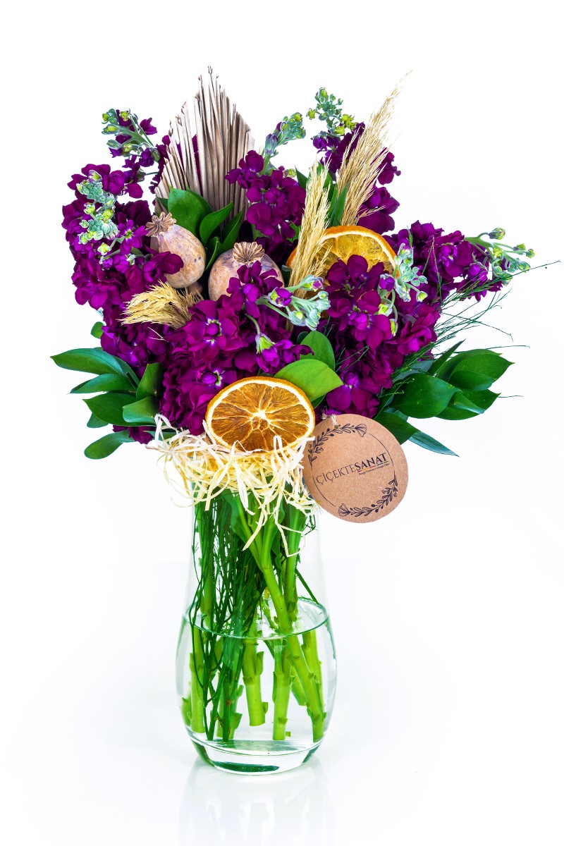 Purple Wallflower