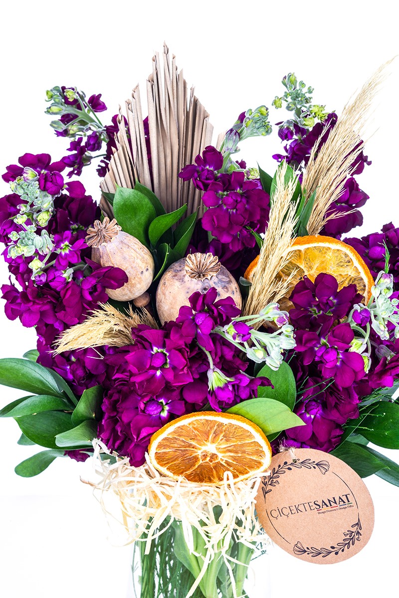 Purple Wallflower