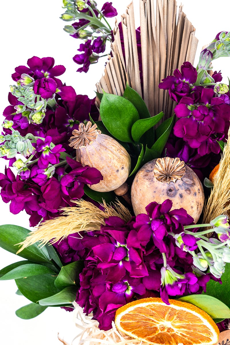 Purple Wallflower