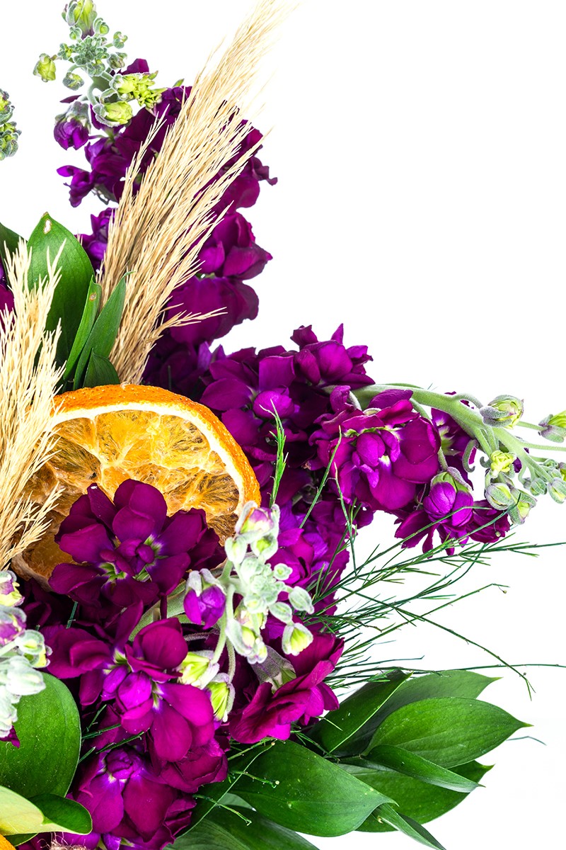 Purple Wallflower