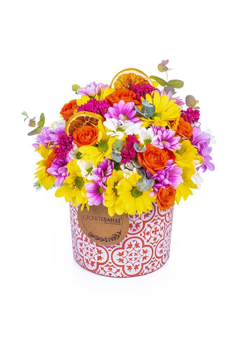 Daisy Dream - 1