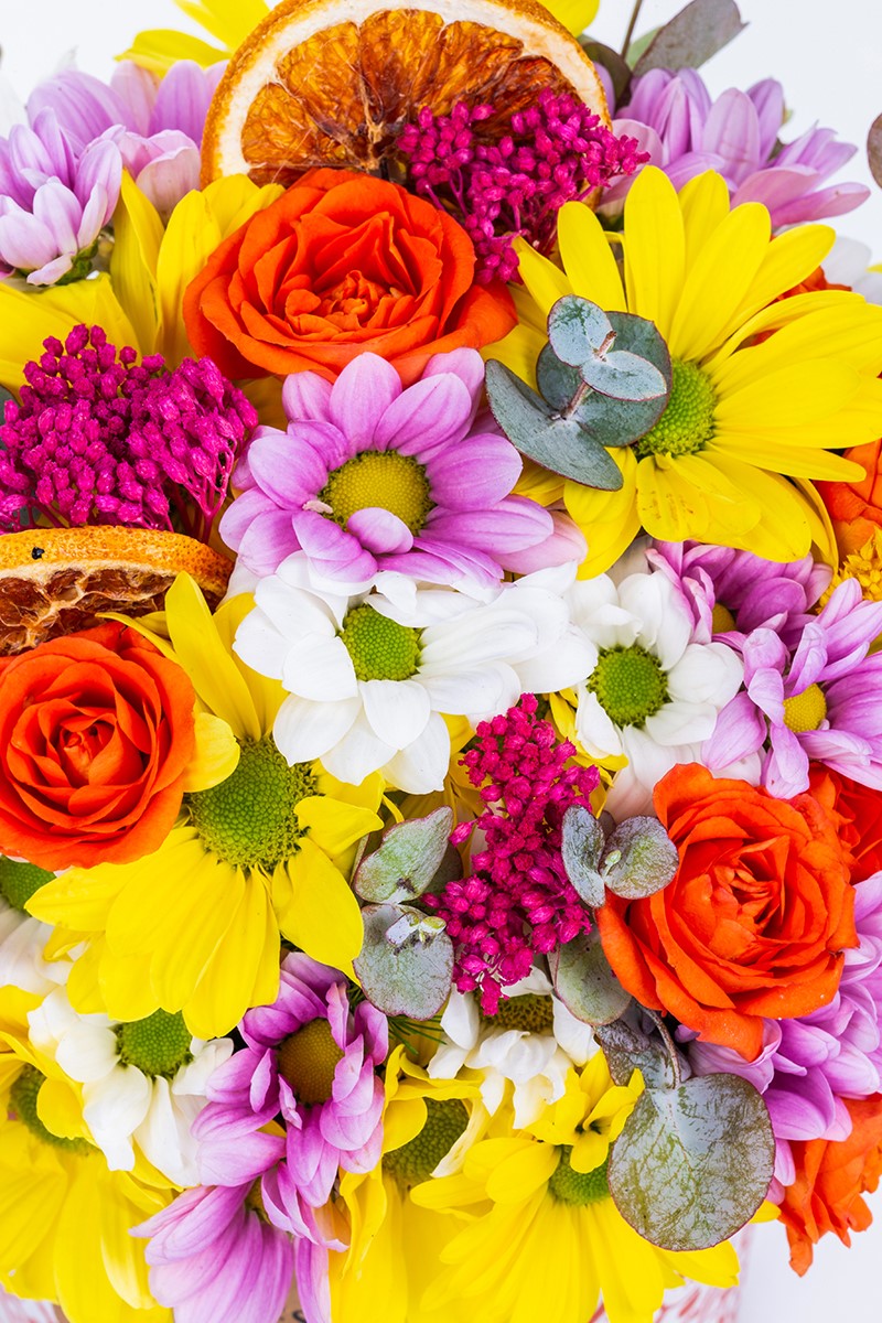 Daisy Dream - 3