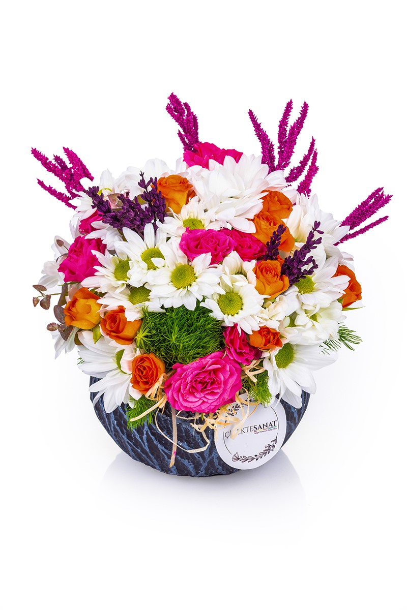 Deep Love Daisy Dream - 1
