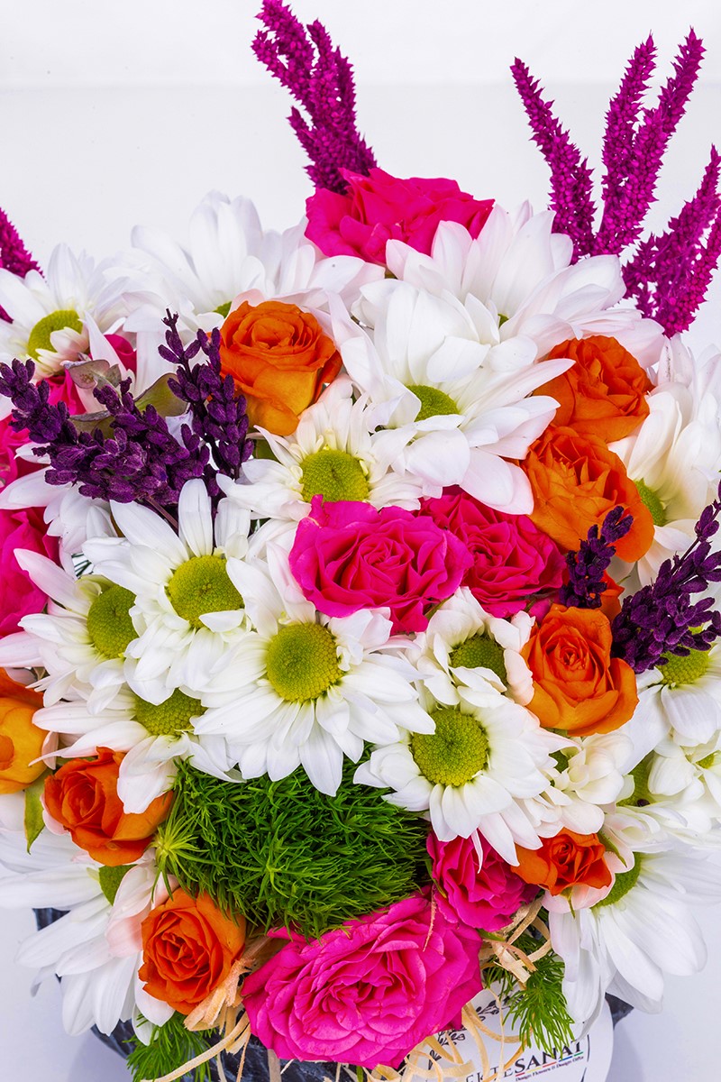 Deep Love Daisy Dream - 2
