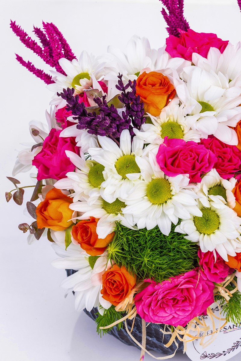 Deep Love Daisy Dream - 3