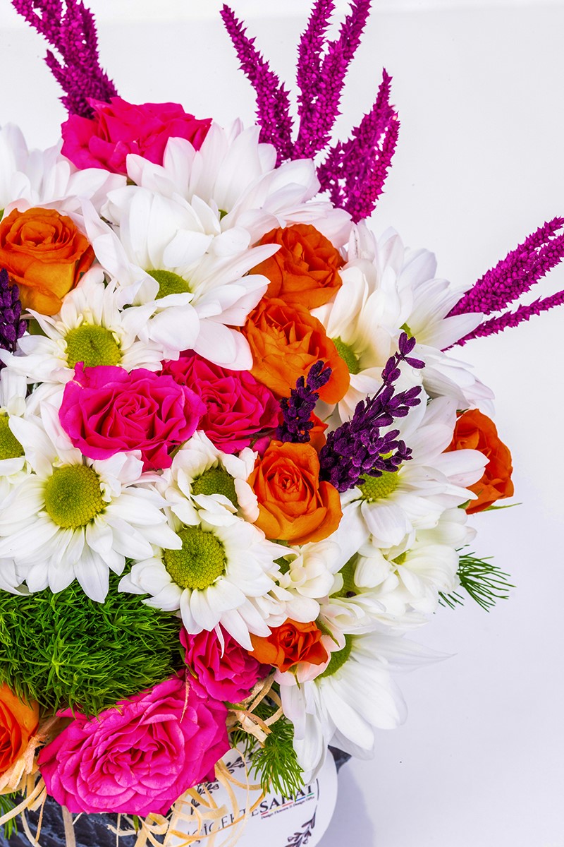 Deep Love Daisy Dream - 4