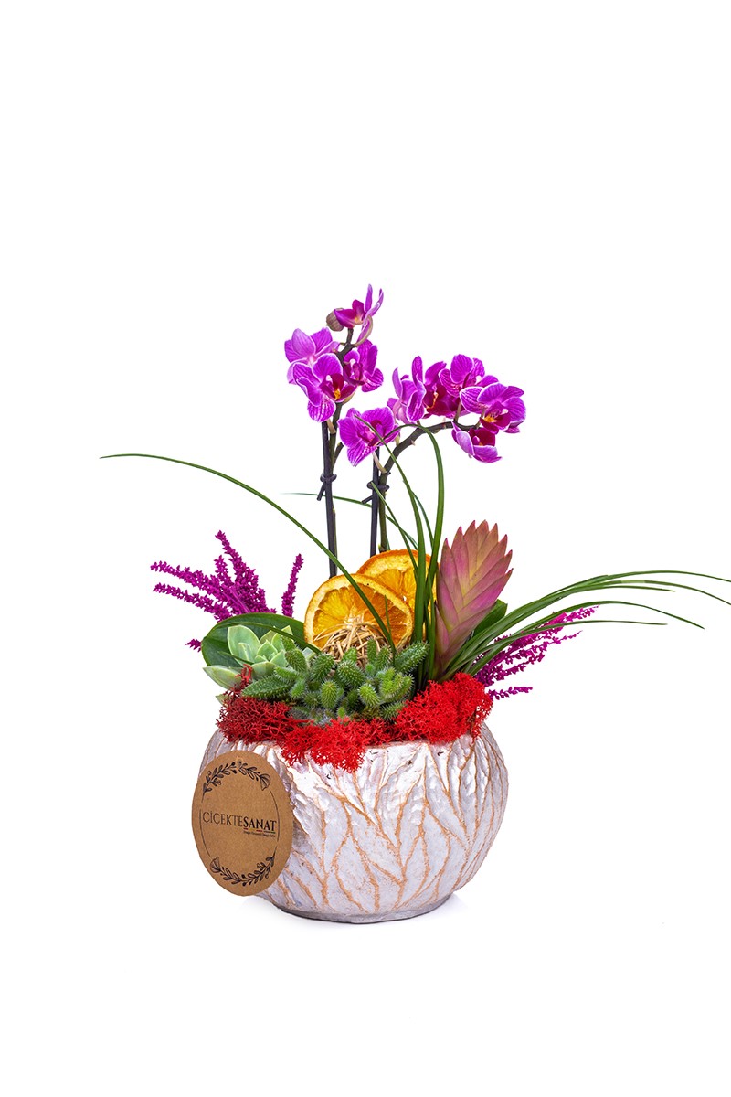 Purple Tiny Orchid Feast - 1