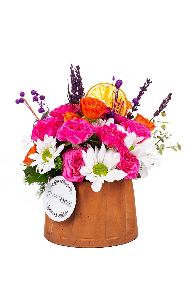 Mixed Seasonal Flowers - 1