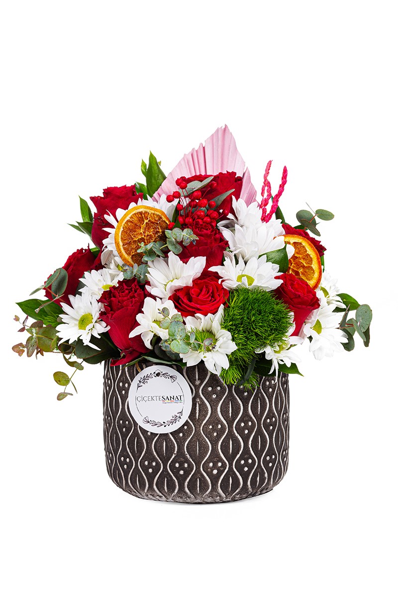 Daisy Rose Spirit - 1