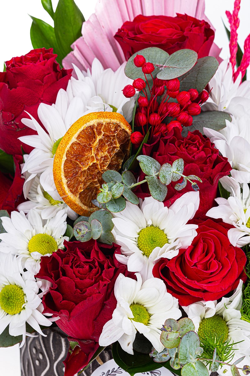 Daisy Rose Spirit - 3