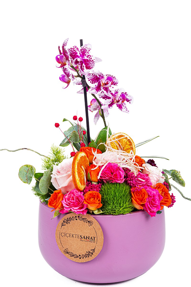 Marmelated Design - 1