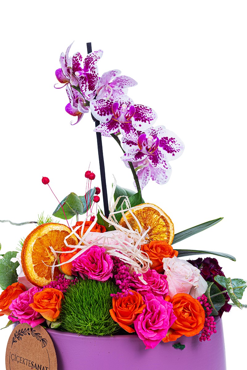 Marmelated Design - 2