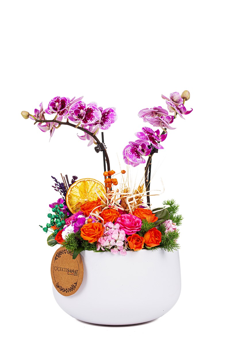 Orchid İn A White Vase - 1
