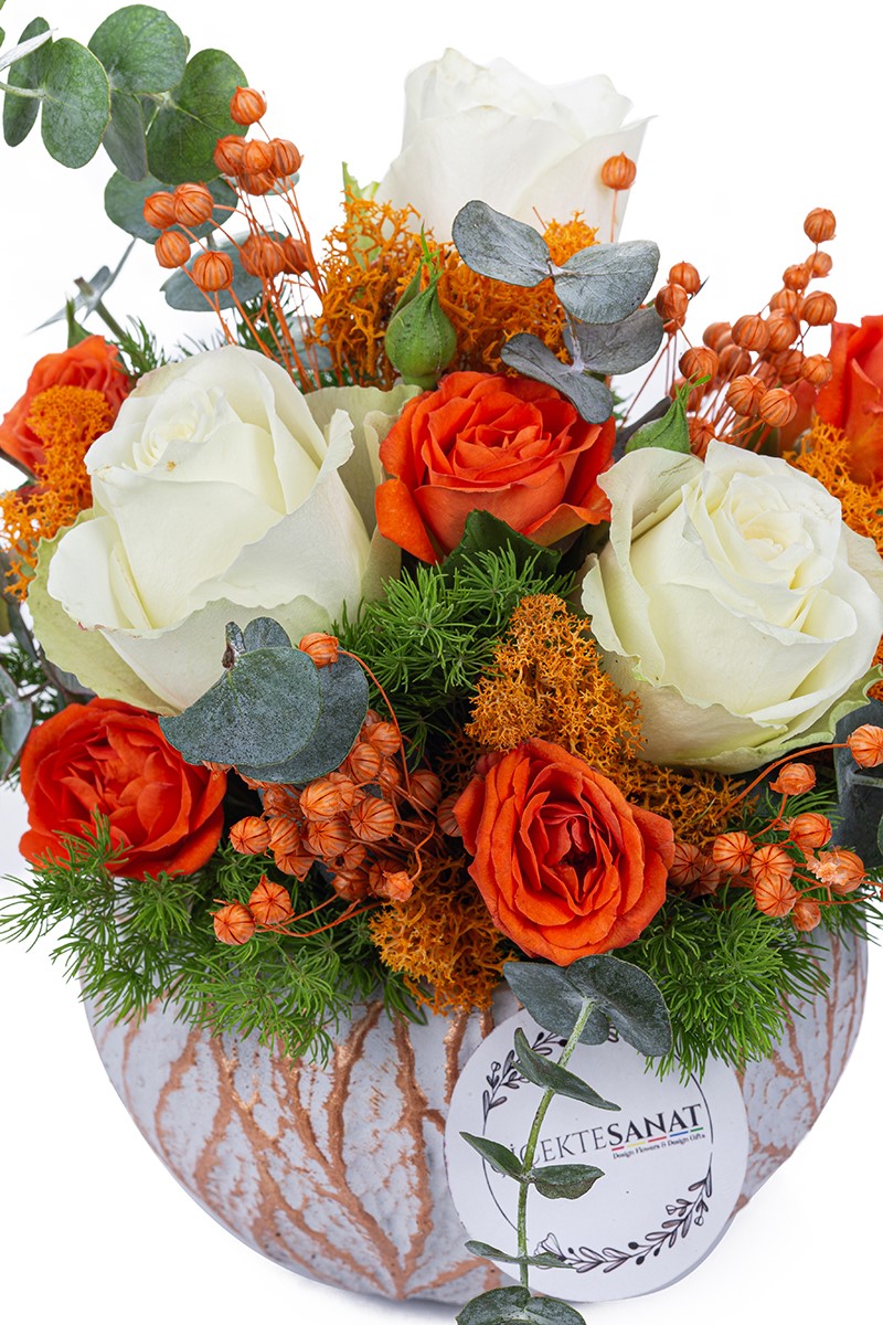 Orange Dream - 2