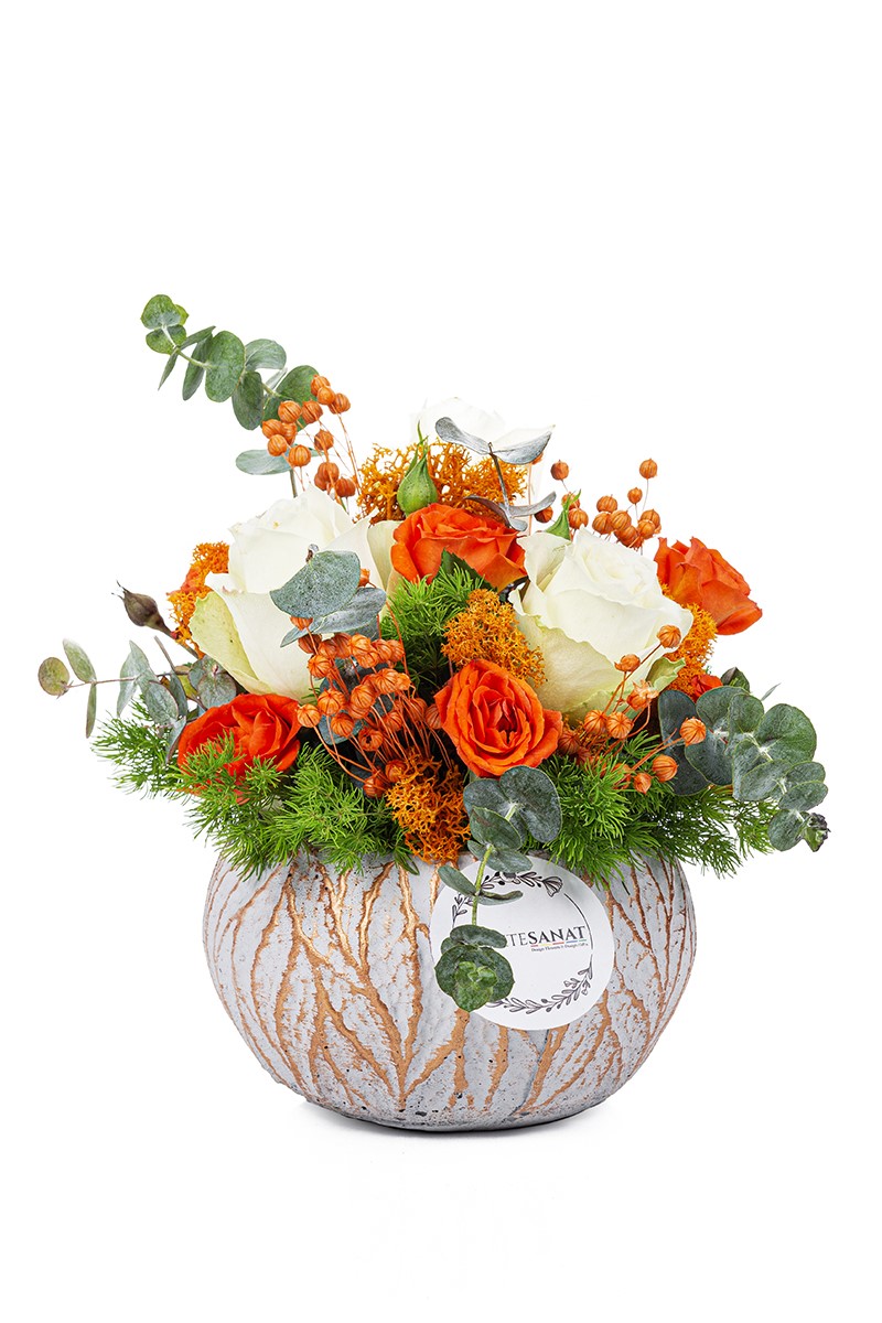 Orange Dream - 1
