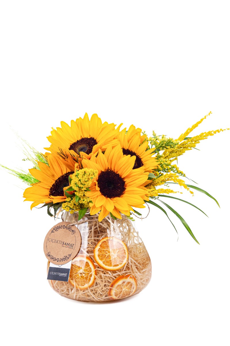 Sunflower Magic - 1