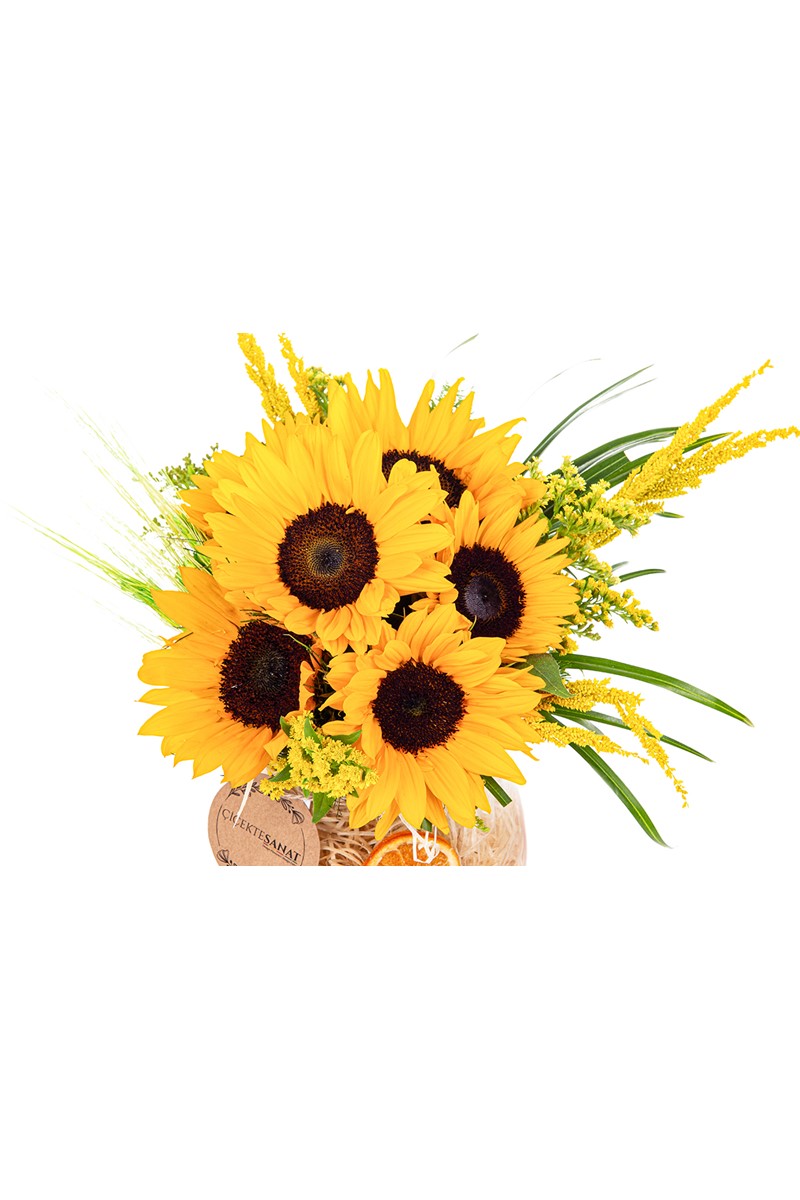 Sunflower Magic - 2