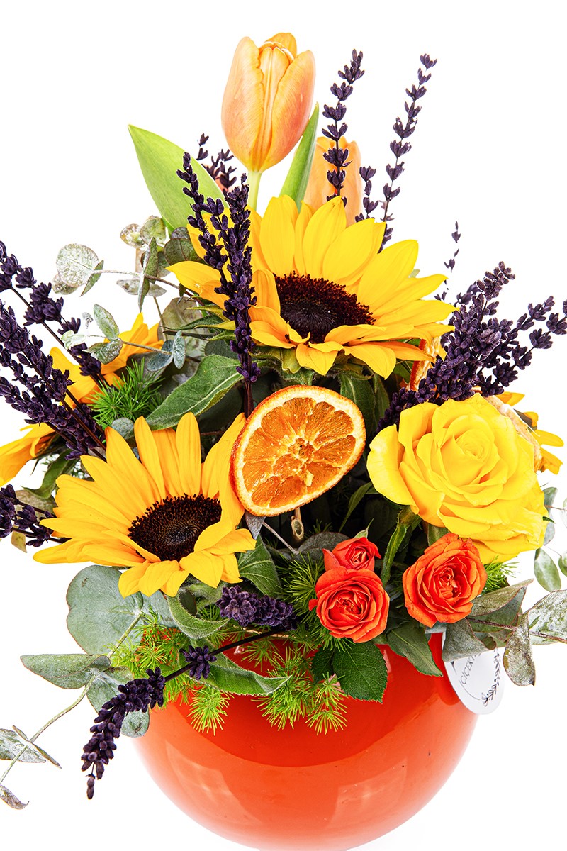 Morning Elegance - 3