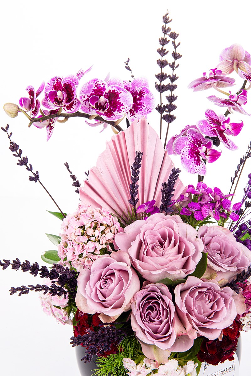 Black Lilac Power - 3