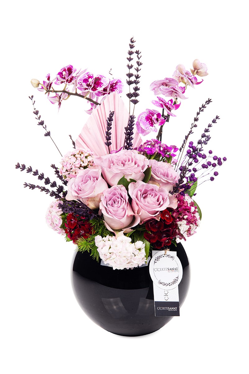 Black Lilac Power - 1