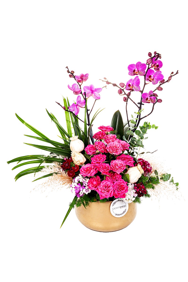 Orchid Fuchsia Party