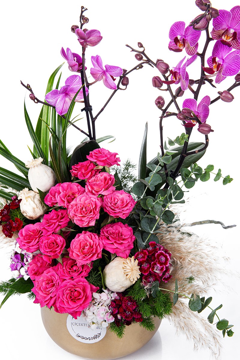 Orchid Fuchsia Party