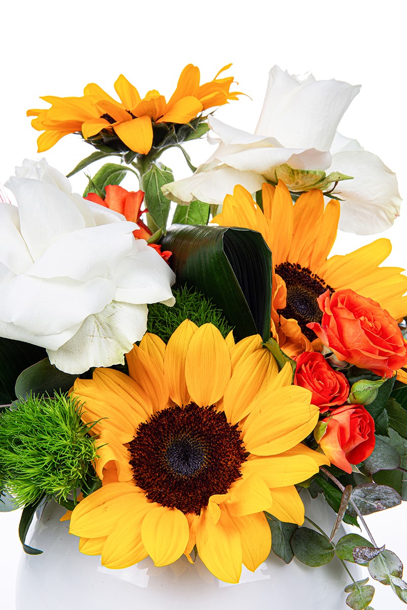 Sunflower Effect - 3