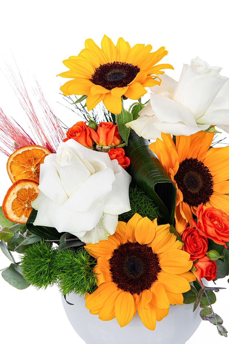 Sunflower Effect - 2